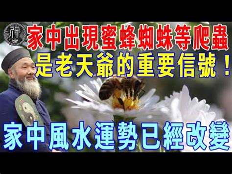 土蜂窩風水|【蜂窩風水】家有蜂窩風水吉凶解密：黃蜂入宅，招財。